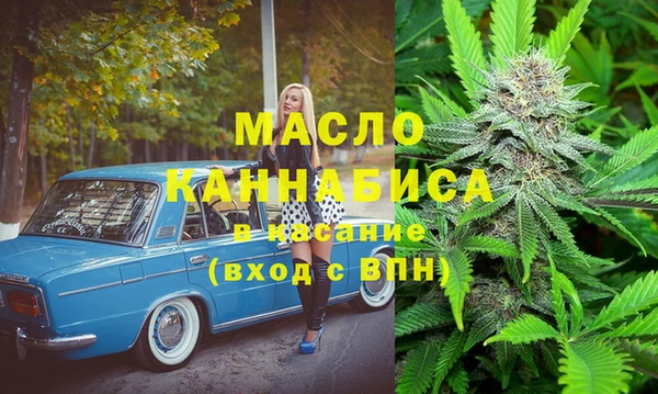 гашик Пестово