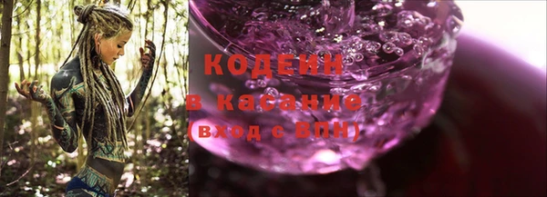 гашик Пестово